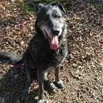 Mark Steffen - @mark_steffen2005 - Instagram