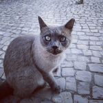 Mark Steffen - @m.steffen2005 - Instagram