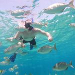 Mark Stein - @mark.stein - Instagram