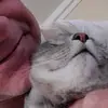 user1724221072255 - @marknstein - TikTok