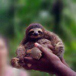 Mark Stellers - @mark_stellers - Instagram
