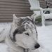 Mark Stelter - Facebook