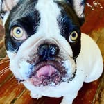 Mark F Stetler - @markfstetler - Instagram