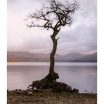 Mark Stevenson - @markstevenson_hn_2122 - Instagram