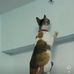 Marcus Stickney - Facebook