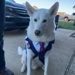 Mark Stickney - @stickney867 - Instagram