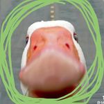 Mark Wijnstra.jr - @mark.still.missing - Instagram
