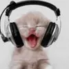markstilson5 - @markstilson5 - TikTok