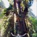 Mark Stiltner - Facebook