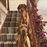Mark Stimpson - @mark.stimpson.169 - Instagram