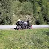 Markus Stockhammer - @markus.stockhamme - TikTok
