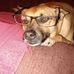Mark Stocking - Facebook