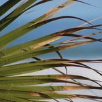 Mark Stoehr - @markstoehr - Instagram