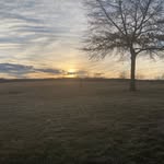 Rose stoltzfus - @mark_stoltzfus77 - Instagram