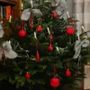 Stoppelmarkt in Vechta - @stoppelmarkt - TikTok
