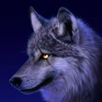 Mark Stork - Facebook
