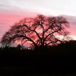 Mark Storm - @norcalstorm007 - Instagram