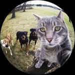 Mark W Stotler - @markwstot - Instagram