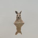 @mark.stoughton - Instagram