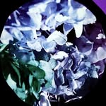 Mark - @mark_strain - Instagram