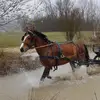 markusstraub345 - @markusstraub345 - TikTok