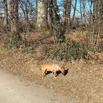 Mark Strauch - @mak_zrh - Instagram