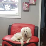 mark stricklin - @stimator3737 - Instagram