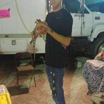 mark stringham - @markstringham722 - Instagram