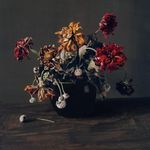 @markstringham3 - Instagram