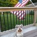 Mark Andrew Strotman - Facebook