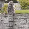 Marko Struck - @marko.struck - TikTok