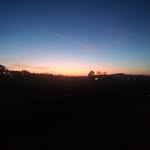 Mark Stucki - @stuckimark - Instagram