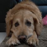Mark Stührenberg - @markstuhrenberg - Instagram