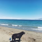 Mark Sturdevant - @sturdevant.mark - Instagram