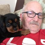 Mark Sturman - @mark.sturman.18 - Instagram