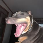 Mark Suda - @mark_a_suda - Instagram