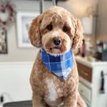 Mark Suderman - @sudermark23 - Instagram