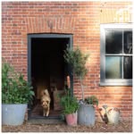 Mark & Louisa Sugden - @sugdenanddaughters - Instagram