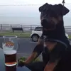 Mark Sugden - @mark.sugden6 - TikTok