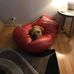 Mark Summerfield - Facebook