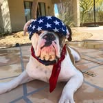 Mark Summers - @realfranksummers - Instagram