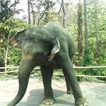 Mark Sumner - @mark.sumner.94 - Instagram