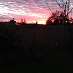 Mark Sowers - Facebook
