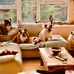 Mark Swift - Facebook