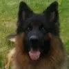 Marek Switalski - @marek.switalski - TikTok