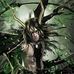 Mark Robert Tabada - Facebook