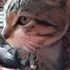 Mark Tague - @marktague_8638 - TikTok