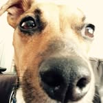 @mark._.talbot - Instagram