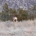Mark Talbot - @mark.talbot.31105 - Instagram