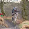 Mark Tarrant - @marktarrant - TikTok